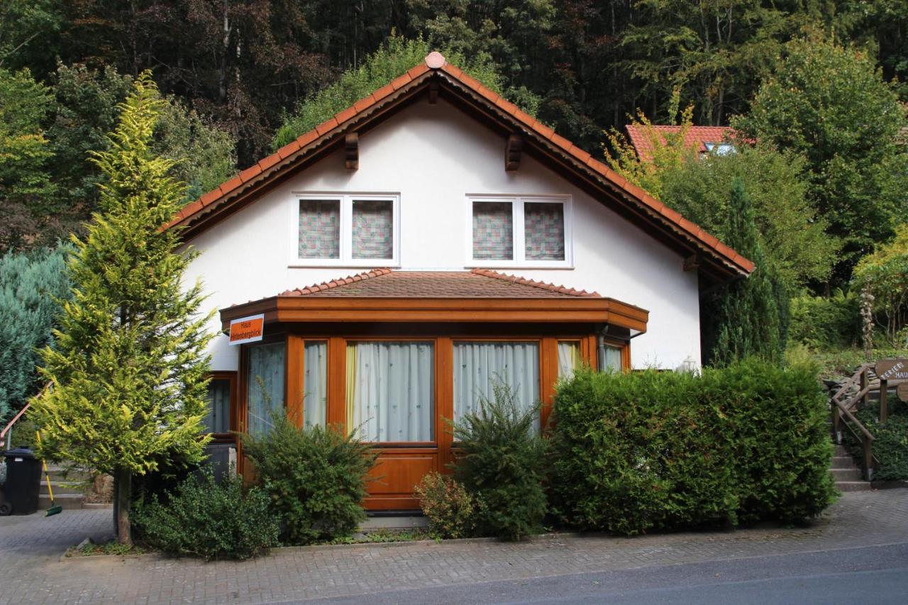 Haus Hirtenbergblick Lonau Экстерьер фото